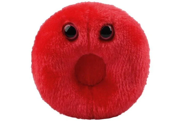 Red Blood Cell